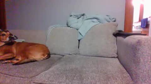 blaw_1321 online show from 03-05-25, 09:59