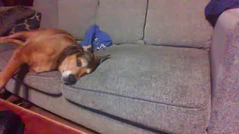 blaw_1321 online show from 07-13-26, 12:46