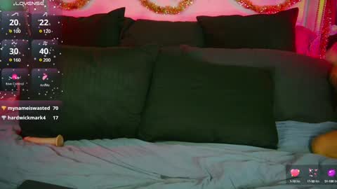 Snapshot of blondiluvsanal chatting on 12-13-24, 02:27 Blondi online show from 12-13-24, 02:27