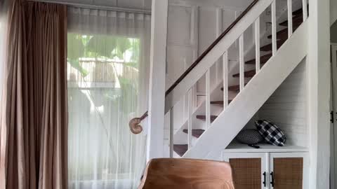 Snapshot of bloomyogi chatting on 01-14-26, 02:17 Emma Bloom online show from 01-14-26, 02:17