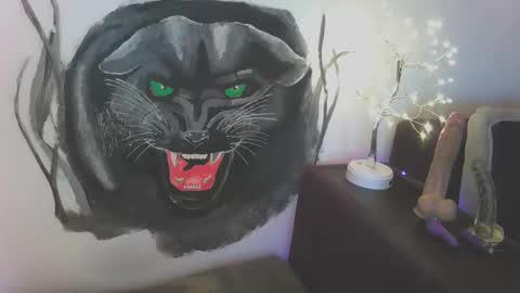 Snapshot of blueskysierra chatting on 01-12-25, 02:41 Sierra online show from 01-12-25, 02:41