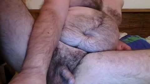 bluewolf80 online show from 07-25-26, 06:38