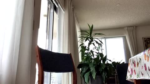 Snapshot of blueyedudeseattle chatting on 09-21-25, 06:42 Blueyedudeseattle online show from 09-21-25, 06:42