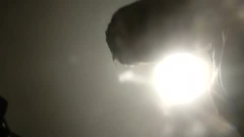 bobby160968 online show from 02-24-25, 06:26