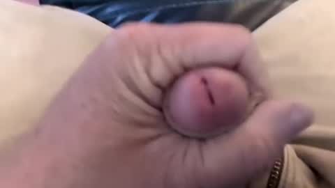 bobrossisalive online show from 10-14-25, 06:47