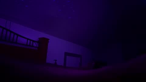 bodiddly64 online show from 10-12-25, 10:36