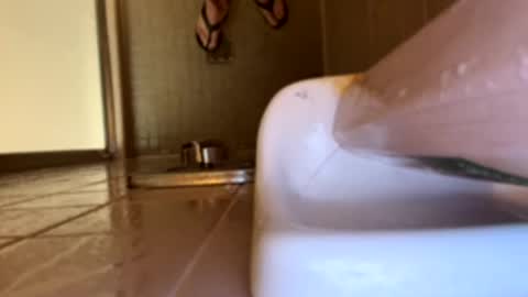 Swingingdong online show from 03-21-26, 04:17