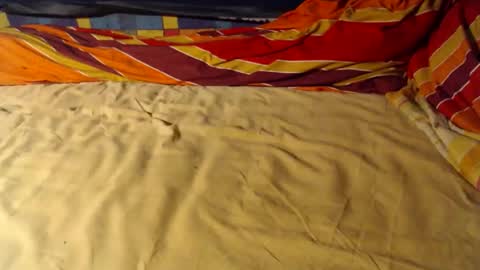 Snapshot of bomm65 chatting on 12-01-25, 07:41 Bomm65 online show from 12-01-25, 07:41