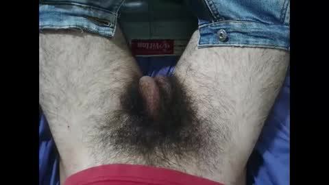 Im Bom - Tip if You Liked my Hairy Body - Private Show is Open - Read more about me in the bio below online show from 11-27-25, 01:24
