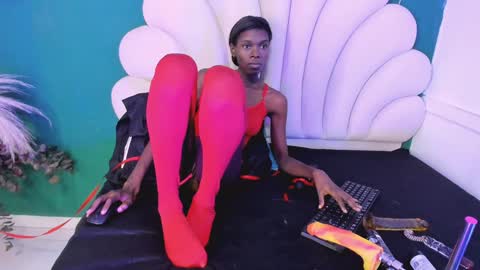 bonieklent online show from 01-28-25, 03:36