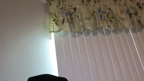 Snapshot of boobi2991 chatting on 04-21-26, 10:01 sissy slut boobi online show from 04-21-26, 10:01