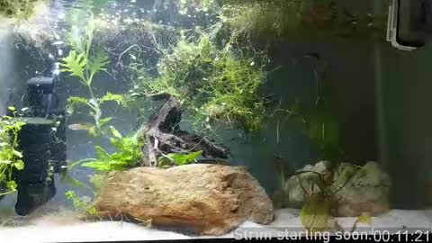 Snapshot of booker_baxton chatting on 09-21-25, 02:57 Booker Baxton online show from 09-21-25, 02:57