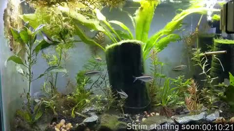 Snapshot of booker_baxton chatting on 09-23-25, 02:58 Booker Baxton online show from 09-23-25, 02:58