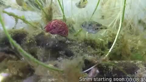 Booker Baxton online show from 11-06-25, 04:02