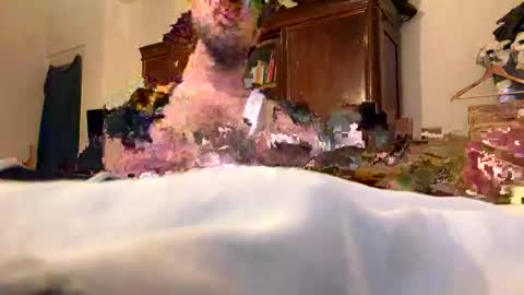 Snapshot of booyyy12 chatting on 04-15-26, 07:58 BoYYYOOO online show from 04-15-26, 07:58