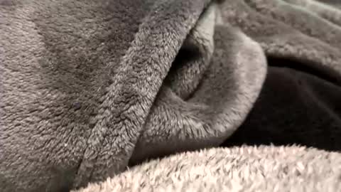 Snapshot of borderslad1101 chatting on 11-23-25, 03:56 Borderslad1101 online show from 11-23-25, 03:56