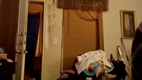 boredaf6678 online show from 11-22-25, 11:59