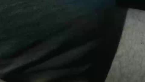 Snapshot of bossram160 chatting on 11-04-25, 09:14 bossram160 online show from 11-04-25, 09:14