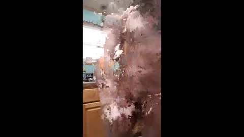 Snapshot of bossusaround chatting on 01-11-26, 10:04 bossusaround online show from 01-11-26, 10:04