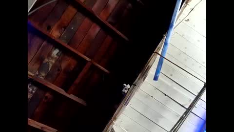 Snapshot of bouncr714 chatting on 02-26-26, 07:46 bouncr714 online show from 02-26-26, 07:46