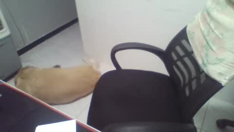 Snapshot of boy_fitbrutal chatting on 12-02-25, 01:55 boy_fitbrutal online show from 12-02-25, 01:55