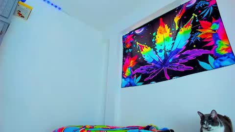 Snapshot of boy_trans chatting on 02-03-26, 06:46 Edward ftm trans queerslave online show from 02-03-26, 06:46