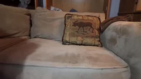 Snapshot of boypussysowet chatting on 02-09-26, 04:05 smoothslutfordaddy online show from 02-09-26, 04:05