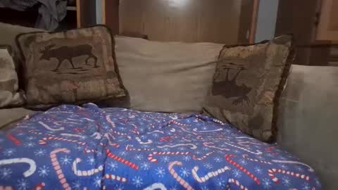 Snapshot of boypussysowet chatting on 02-12-26, 06:58 smoothslutfordaddy online show from 02-12-26, 06:58