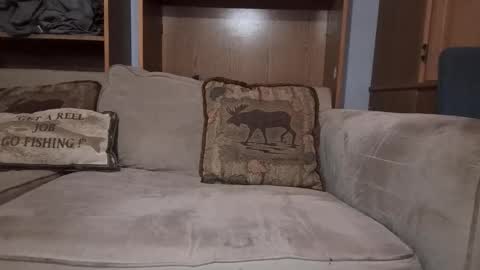 Snapshot of boypussysowet chatting on 03-04-26, 03:51 smoothslutfordaddy online show from 03-04-26, 03:51