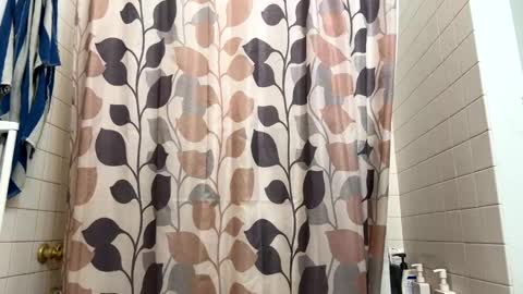 boysetsfire34 online show from 01-09-25, 12:46