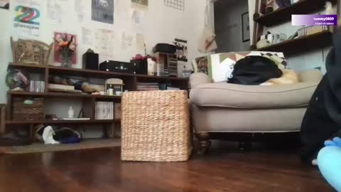 boywithbug online show from 03-12-25, 06:44