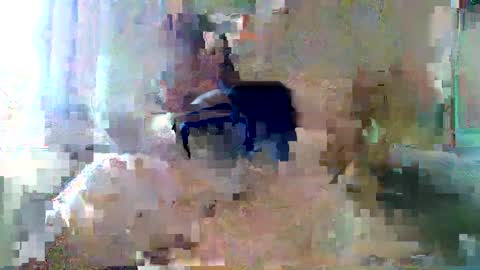 bpbww online show from 09-19-25, 04:40