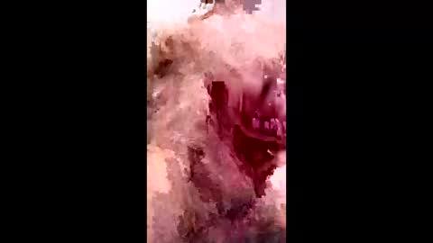 bracka100 online show from 02-09-26, 07:56