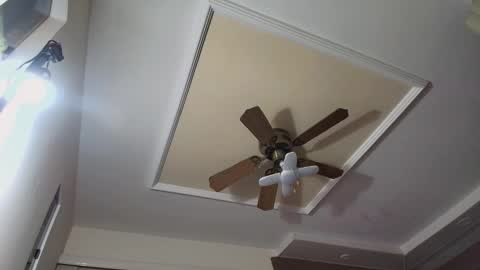 bradkith27 online show from 11-26-25, 02:23