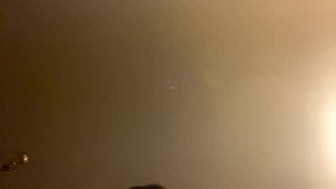 Brain Ortega online show from 02-28-26, 01:01