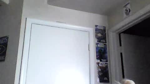 i am a naughty jedi knight online show from 06-15-26, 02:08