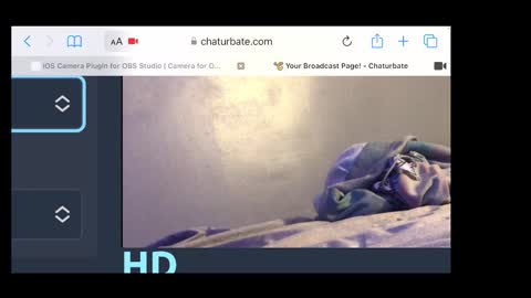 Snapshot of braylensaurex chatting on 11-20-25, 02:34 MANTE online show from 11-20-25, 02:34