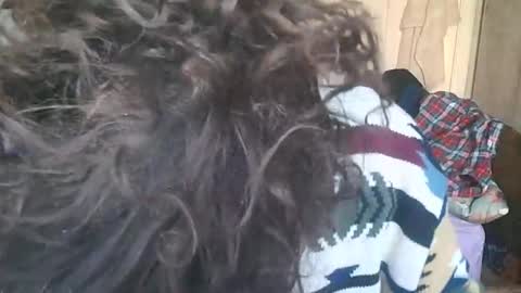 Bread89  online show from 12-10-24, 11:43