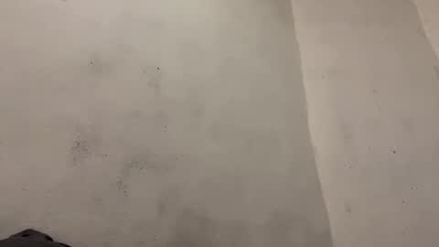 breanexe online show from 10-29-25, 11:01