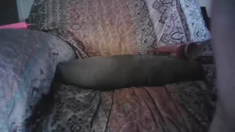 raining down on me online show from 04-29-26, 02:21