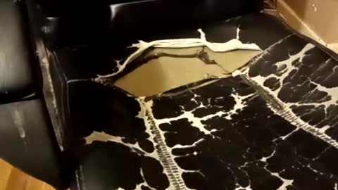 BB online show from 12-14-25, 01:33