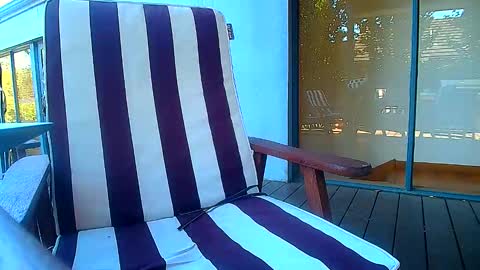 Snapshot of bridie3079 chatting on 02-20-26, 06:19 Fun Monster online show from 02-20-26, 06:19