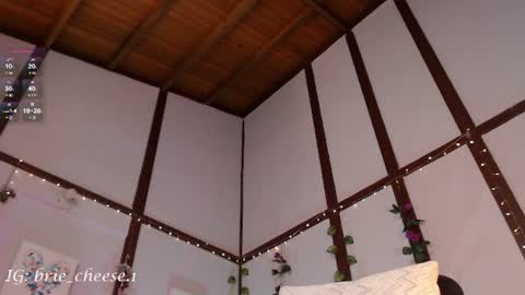Snapshot of brie_cheese1 chatting on 07-28-26, 04:39 Brie Ill be away November 2829 and 30. See u on Sunday for more fun online show from 07-28-26, 04:39