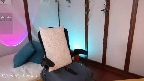 Snapshot of brie_cheese1 chatting on 07-28-26, 08:52 Brie Ill be away November 2829 and 30. See u on Sunday for more fun online show from 07-28-26, 08:52