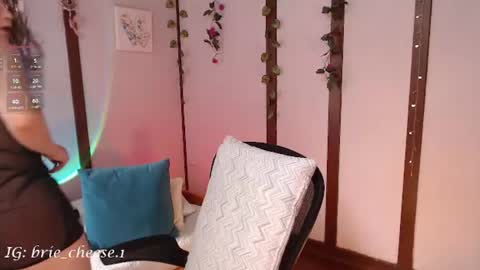 Snapshot of brie_cheese1 chatting on 08-06-26, 03:14 Brie Ill be away November 2829 and 30. See u on Sunday for more fun online show from 08-06-26, 03:14