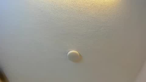 Brittany  online show from 10-13-25, 07:14