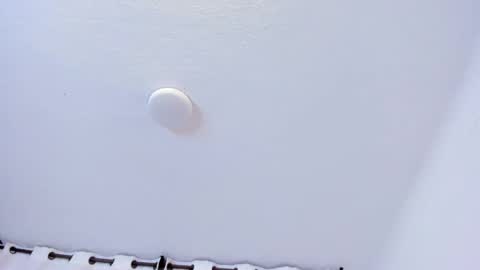 Brittany  online show from 02-21-26, 07:48