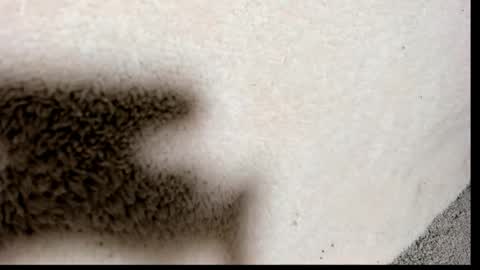 Snapshot of brockhurn_ chatting on 09-15-25, 02:00 brockhurn_ online show from 09-15-25, 02:00