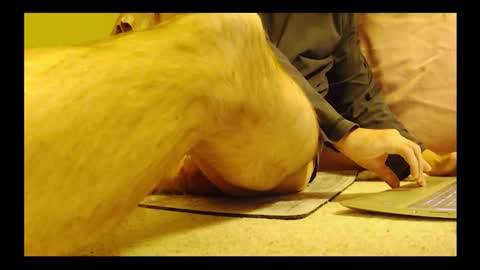 Snapshot of brode3 chatting on 01-06-26, 04:05 brode3 online show from 01-06-26, 04:05