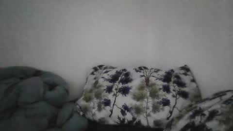 Snapshot of bruc12168 chatting on 06-20-26, 12:08 Bruc12168 fit slim new makemecum bigdick edging online show from 06-20-26, 12:08